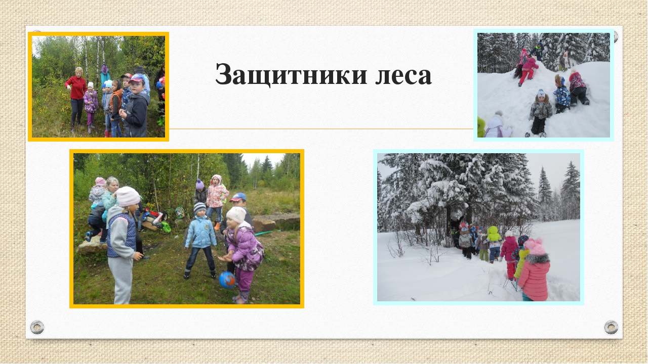 "Проектная деятельность с детьми дошкольного возраста" из опыта работы