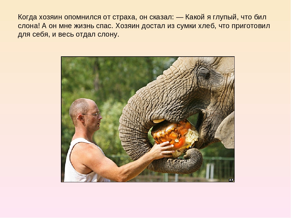 Презентиция к занятию по развитию речи