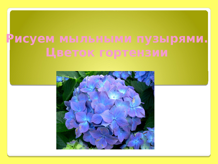 Рисование мыльными пузырями. Презентация " Гортензия"