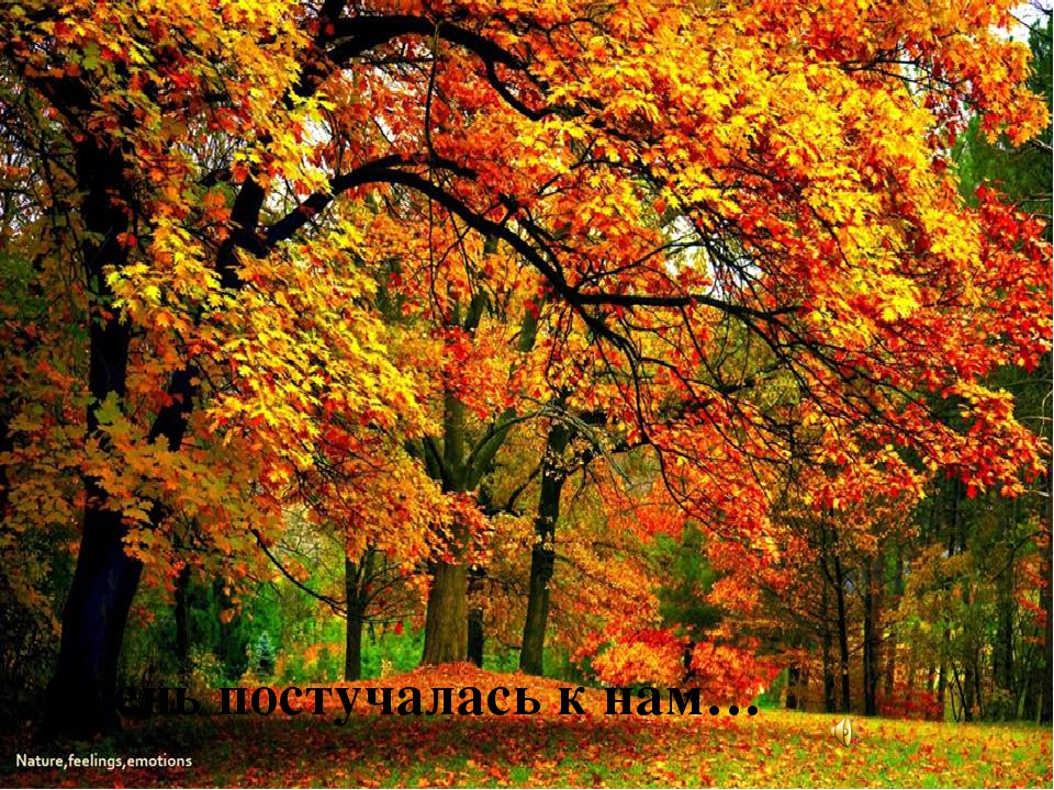 Презентация "Золотая волшебница Осень"