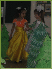 Picture 7