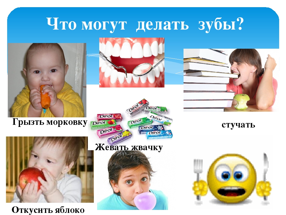 ЗНАКОМСТВО С ОРГАНАМИ РЕЧИ (Консультация для родителей)