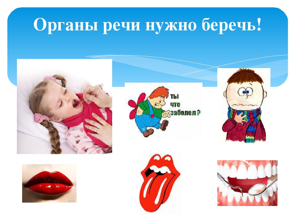 ЗНАКОМСТВО С ОРГАНАМИ РЕЧИ (Консультация для родителей)