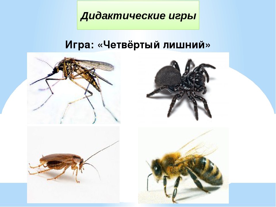 Семинар-практикум "Развитие коммуникативных навыков детей старшего дошкольного возраста через ознакомление с художественной литературой"