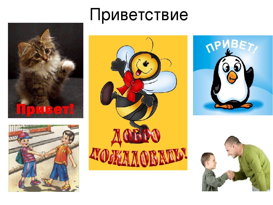 Совместное занятие "Радуга мечты". Старшая группа.