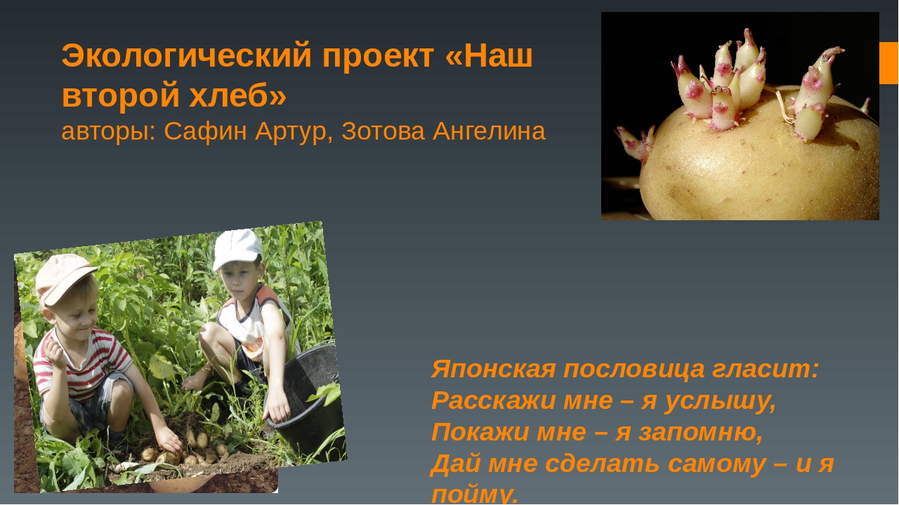 Презентация по экологическому воспитанию детей на тему "Наш второй хлеб"