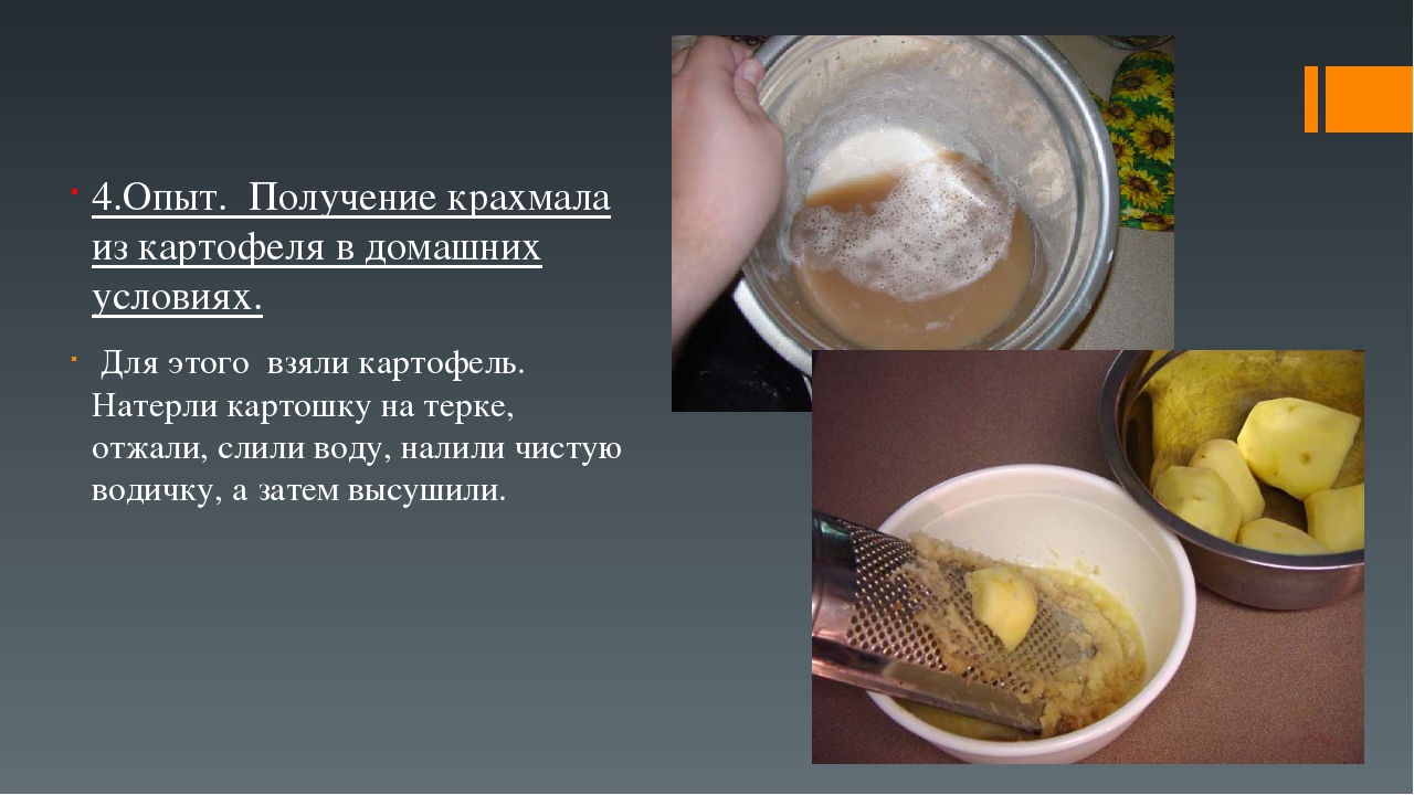 Презентация по экологическому воспитанию детей на тему "Наш второй хлеб"