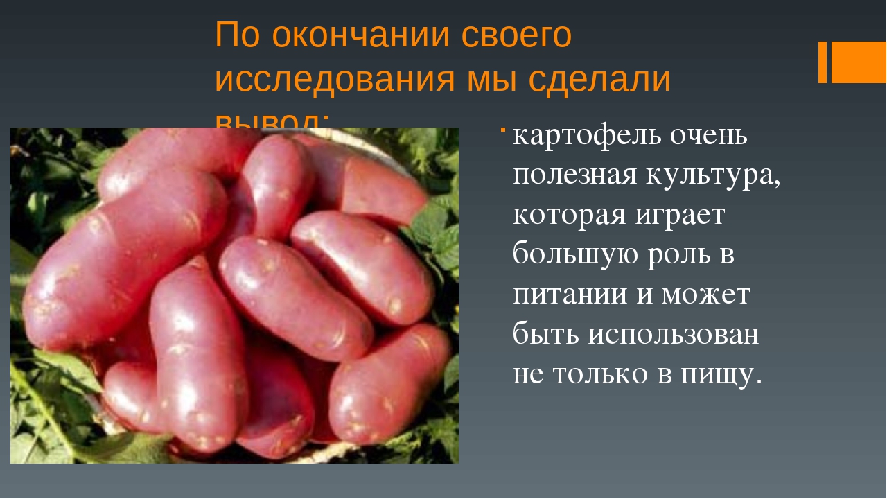 Презентация по экологическому воспитанию детей на тему "Наш второй хлеб"