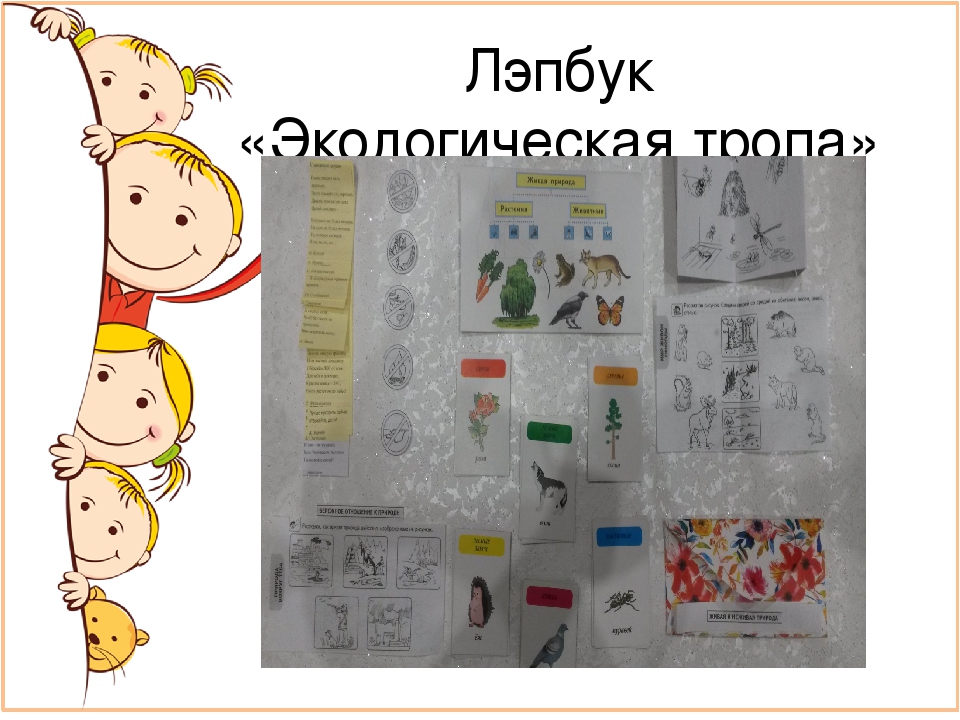 Лэпбук в системе средств формирования экологических представлений у детей старшего дошкольного возраста