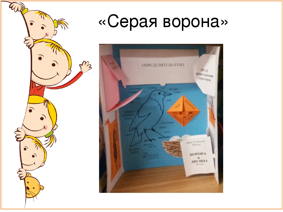Лэпбук в системе средств формирования экологических представлений у детей старшего дошкольного возраста