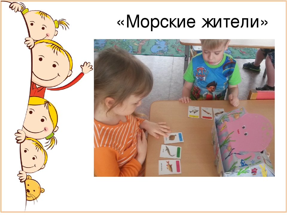 Лэпбук в системе средств формирования экологических представлений у детей старшего дошкольного возраста