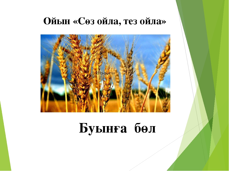 Сауат ашу "Бб дыбысы мен әрпі"