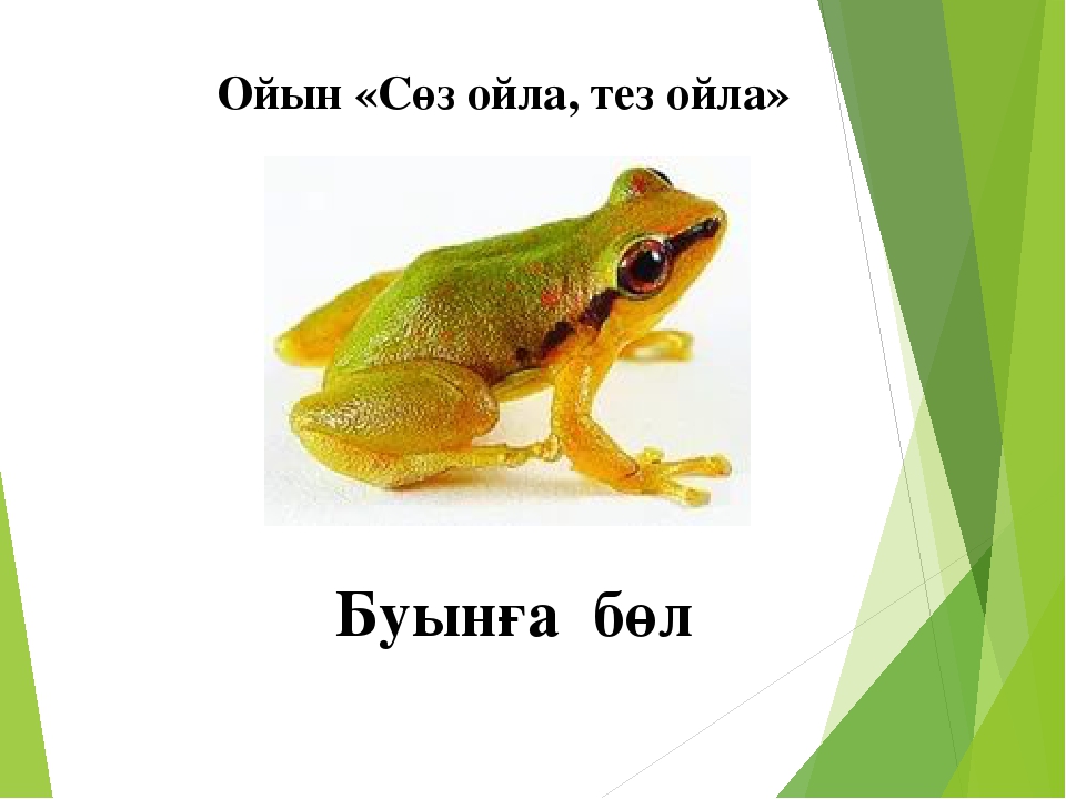 Сауат ашу "Бб дыбысы мен әрпі"