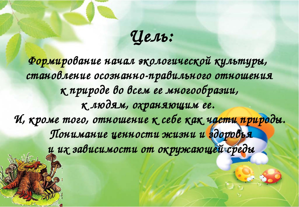 Презентация на тему:"Формирование экологической культуры детей дошкольного возраста посредством познавательной деятельности"
