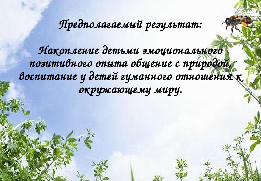 Презентация на тему:"Формирование экологической культуры детей дошкольного возраста посредством познавательной деятельности"