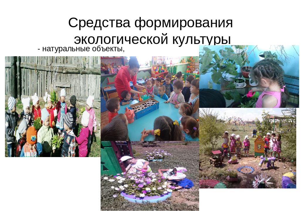 Презентация на тему:"Формирование экологической культуры детей дошкольного возраста посредством познавательной деятельности"