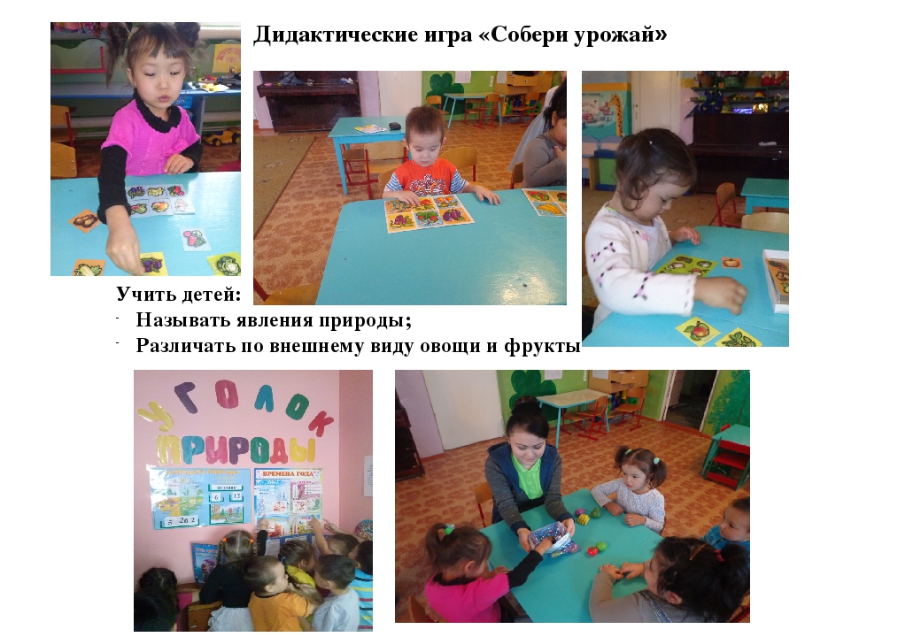 Презентация на тему:"Формирование экологической культуры детей дошкольного возраста посредством познавательной деятельности"