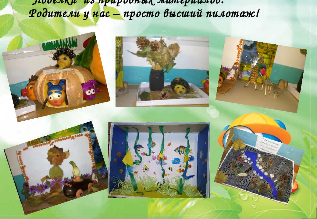 Презентация на тему:"Формирование экологической культуры детей дошкольного возраста посредством познавательной деятельности"
