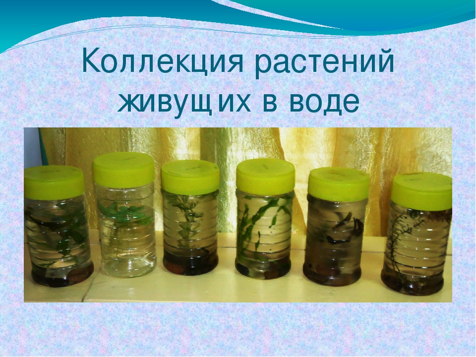 Презентация на тему мини- музей в детском саду