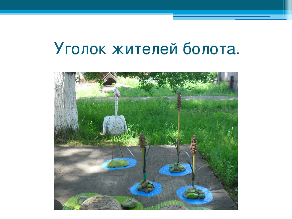 Презентация на тему "Как украсить участок детского сада"