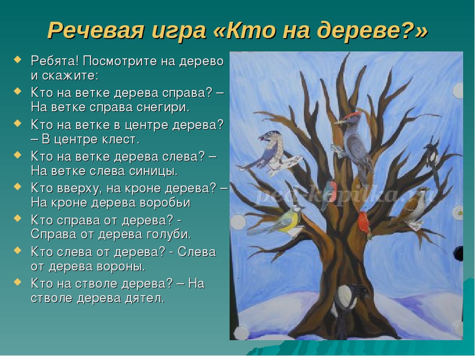Презентация " Зимующие птицы " Автор: Михайлова Елена Анатольевна Воспитатель МКОУ Касьяновская СОШ ( Детский сад )