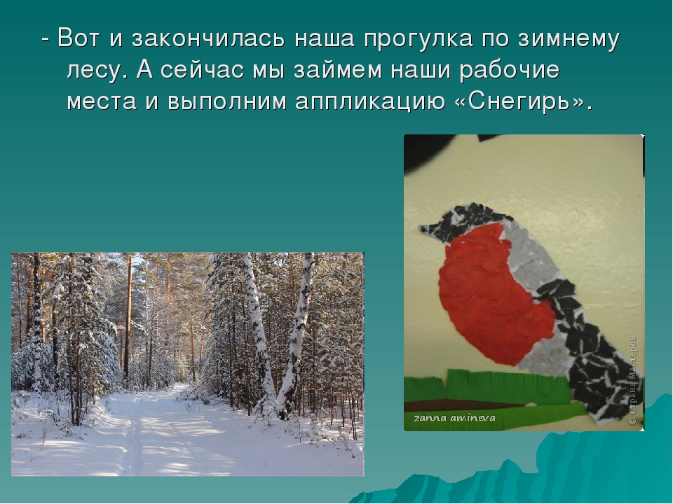 Презентация " Зимующие птицы " Автор: Михайлова Елена Анатольевна Воспитатель МКОУ Касьяновская СОШ ( Детский сад )