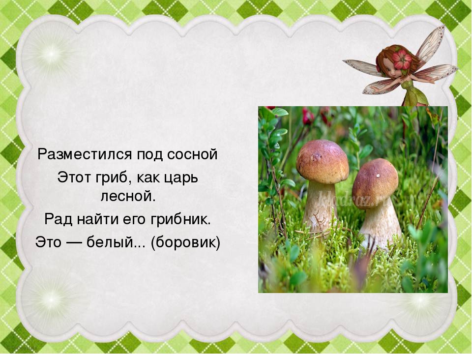 Презентация "Грибы в осеннем лесу"