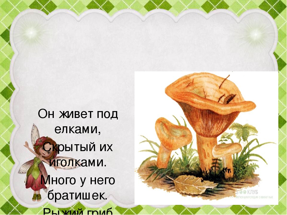 Презентация "Грибы в осеннем лесу"