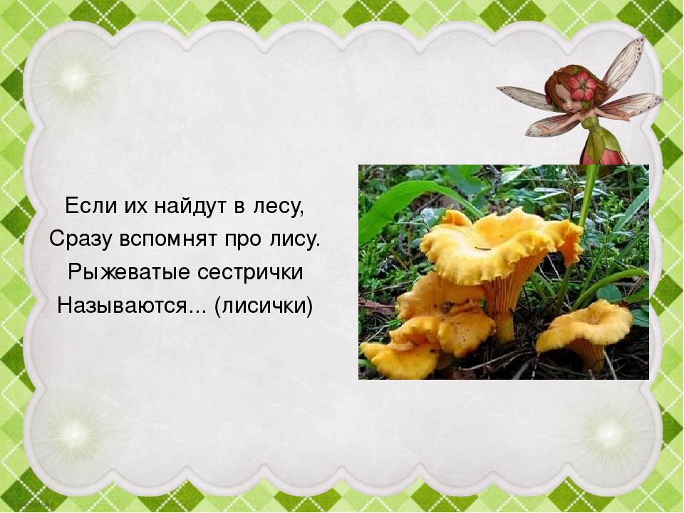 Презентация "Грибы в осеннем лесу"
