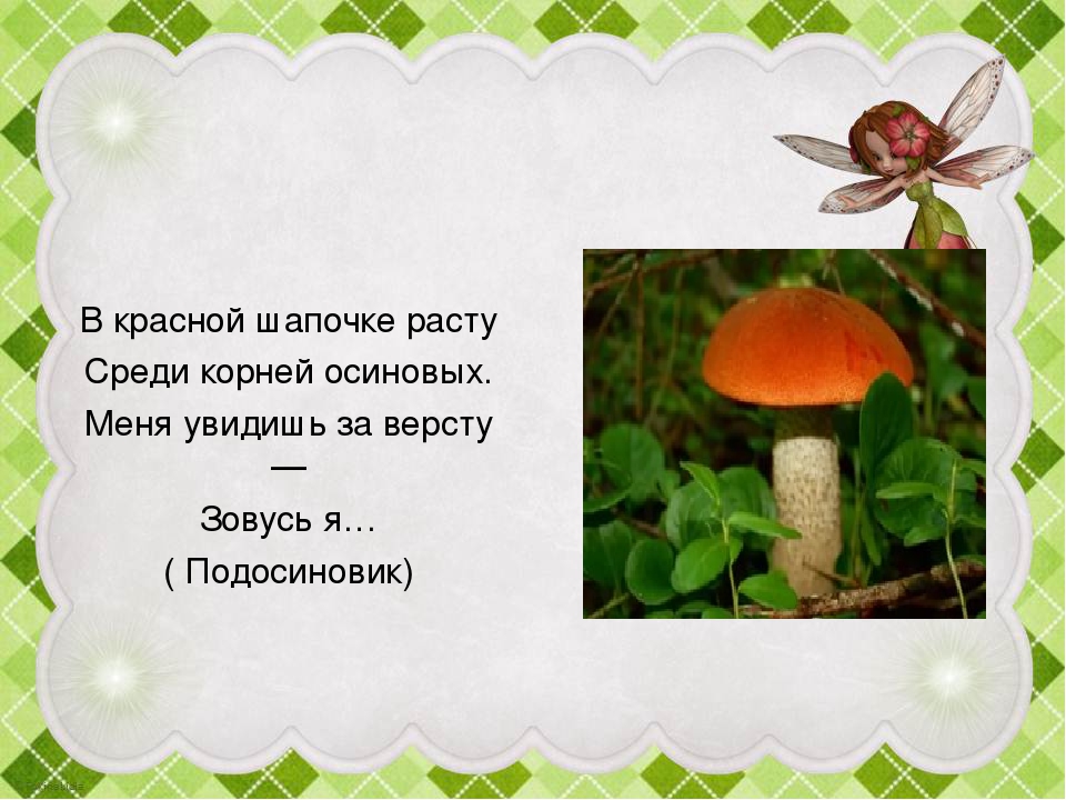 Презентация "Грибы в осеннем лесу"