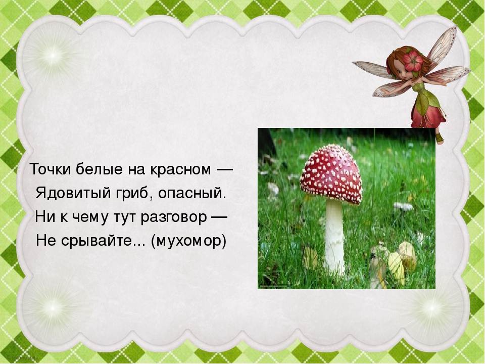 Презентация "Грибы в осеннем лесу"