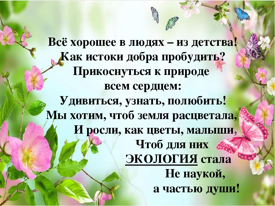 Презентация Использование бросового материала в экологическом воспитании дошкольников