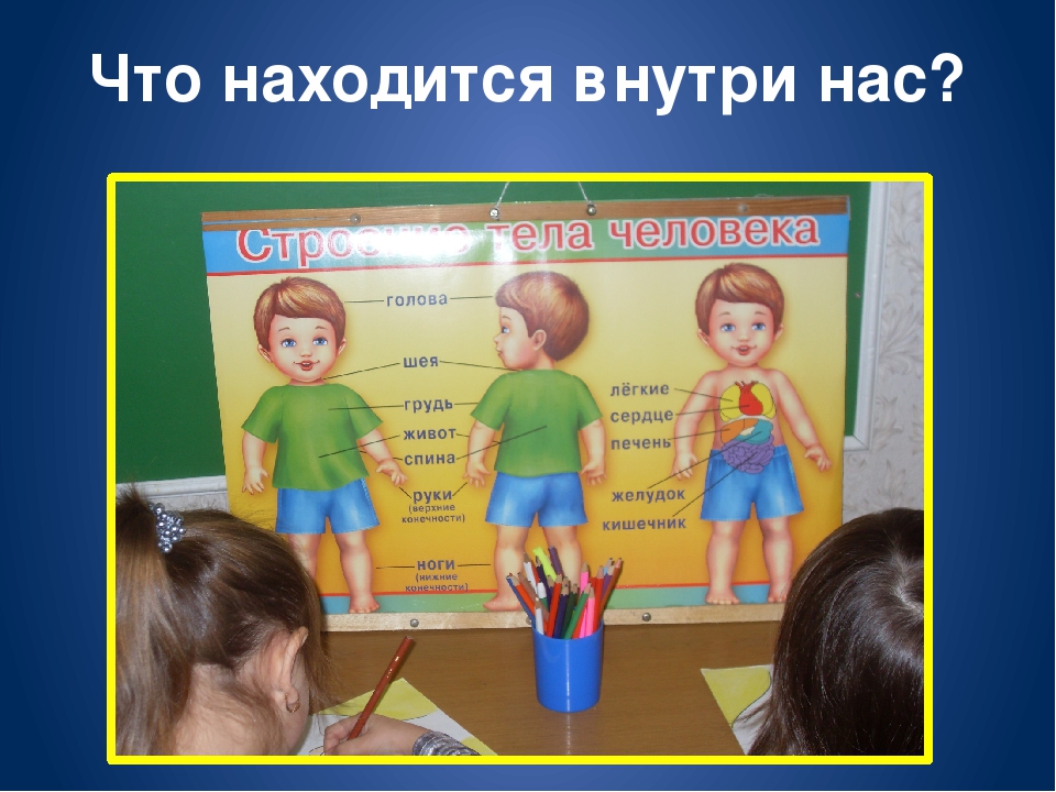 Кружковая работа по физическому воспитанию