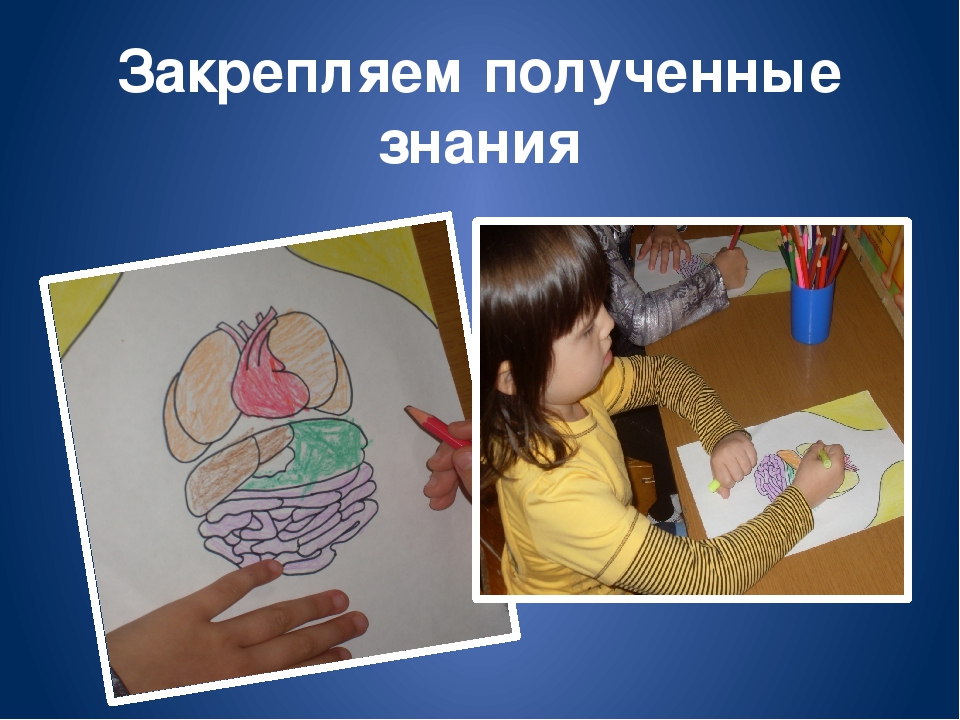 Кружковая работа по физическому воспитанию