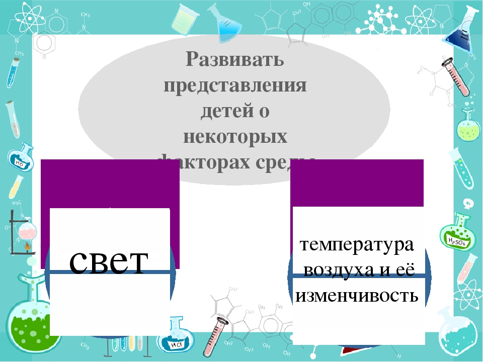 Презентация "Мир полон чудес"