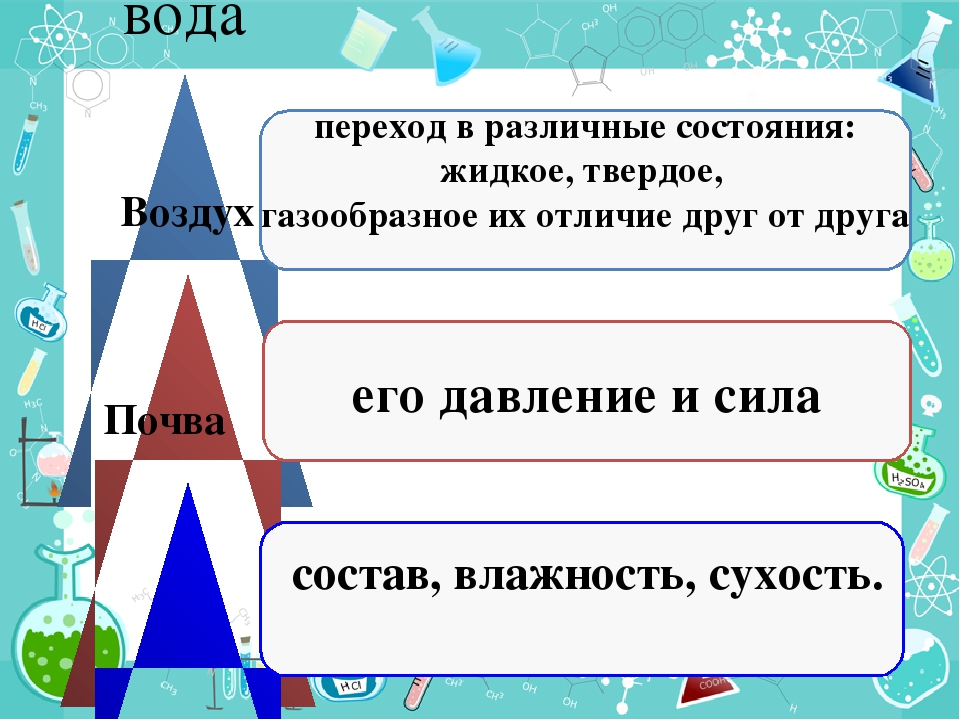 Презентация "Мир полон чудес"