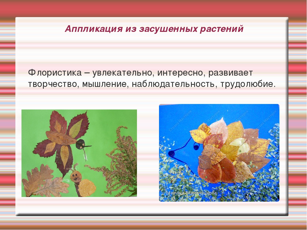 Презентация на тему "Нетрадиционная аппликация"