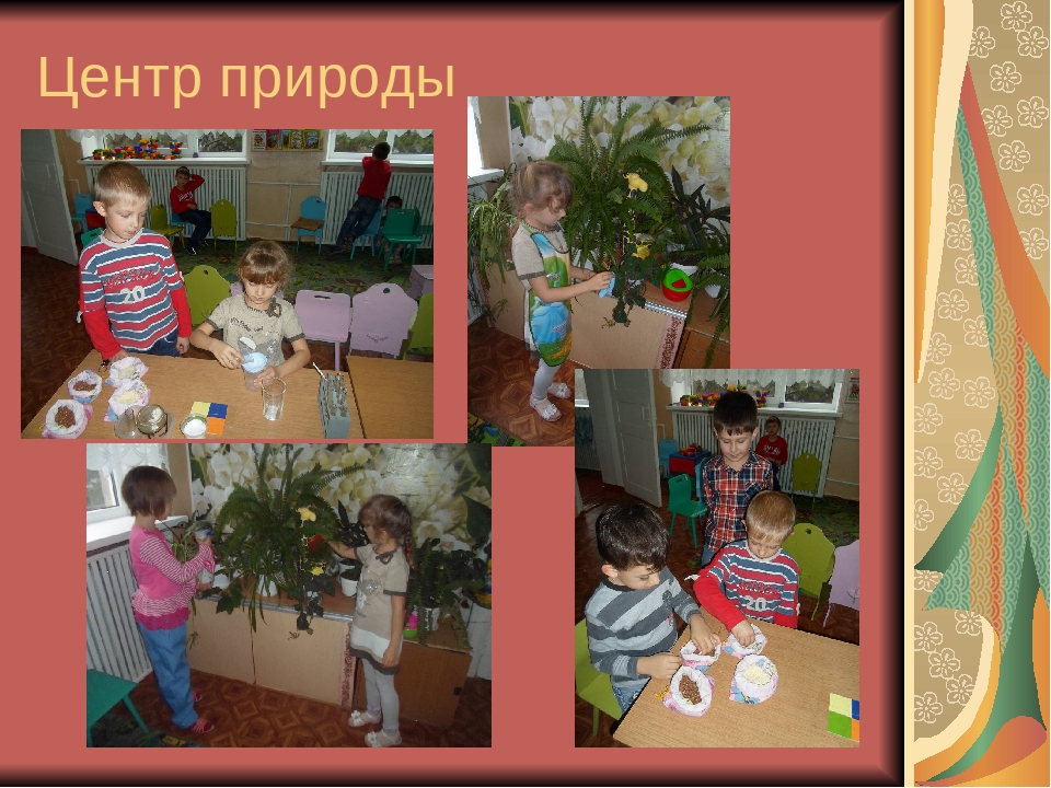 Развивающая предметно - пространственная среда