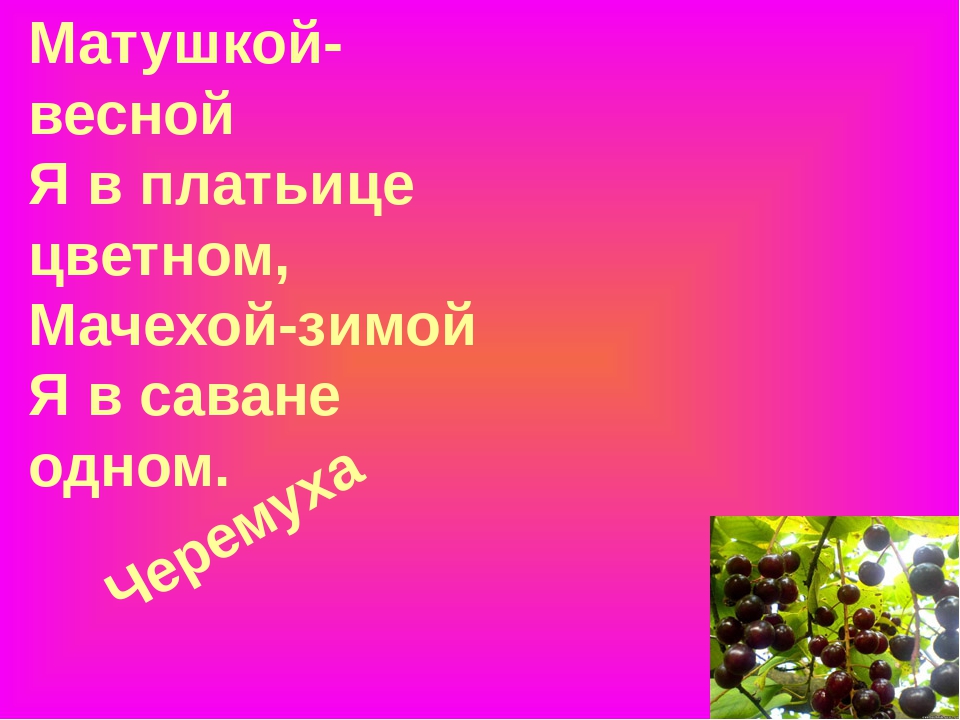 Презентация "Загадки про ягоды в стихах и картинках"