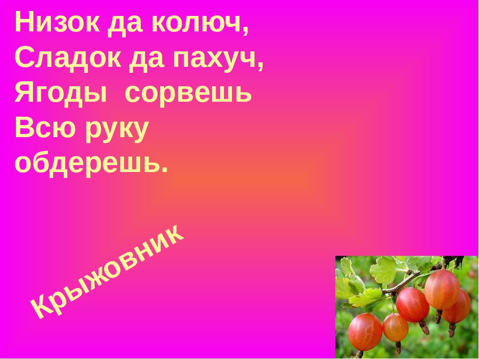 Презентация "Загадки про ягоды в стихах и картинках"