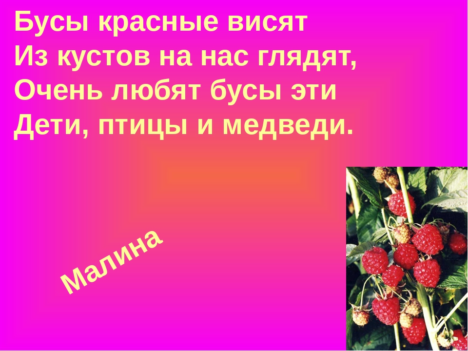 Презентация "Загадки про ягоды в стихах и картинках"