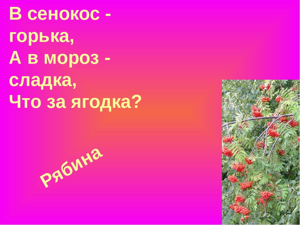 Презентация "Загадки про ягоды в стихах и картинках"