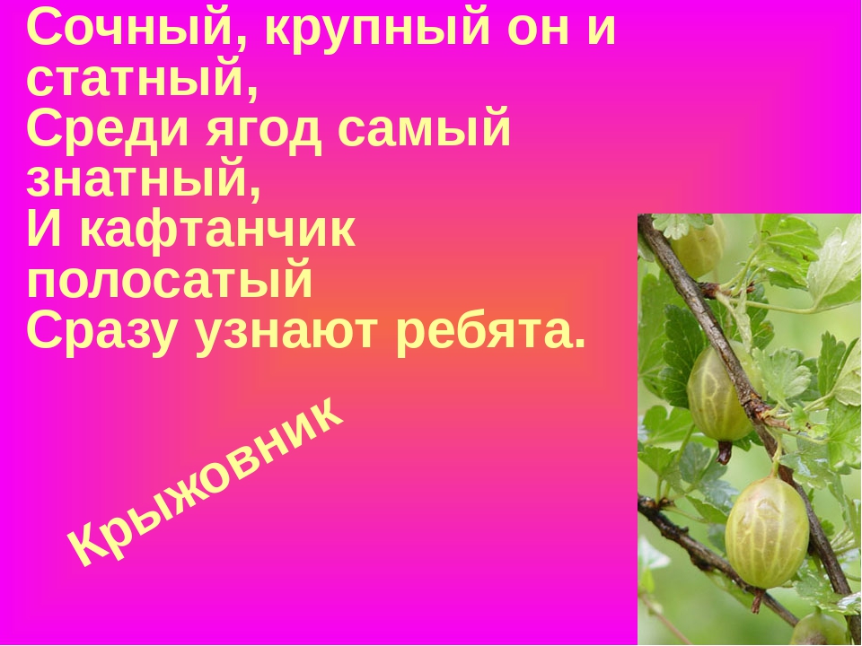 Презентация "Загадки про ягоды в стихах и картинках"