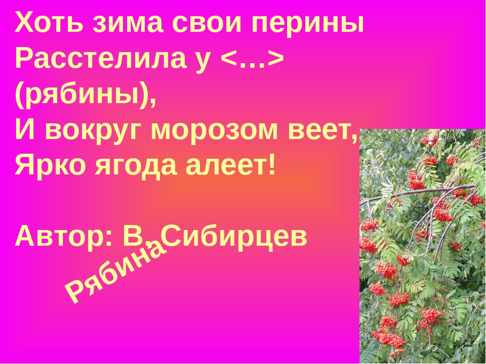 Презентация "Загадки про ягоды в стихах и картинках"