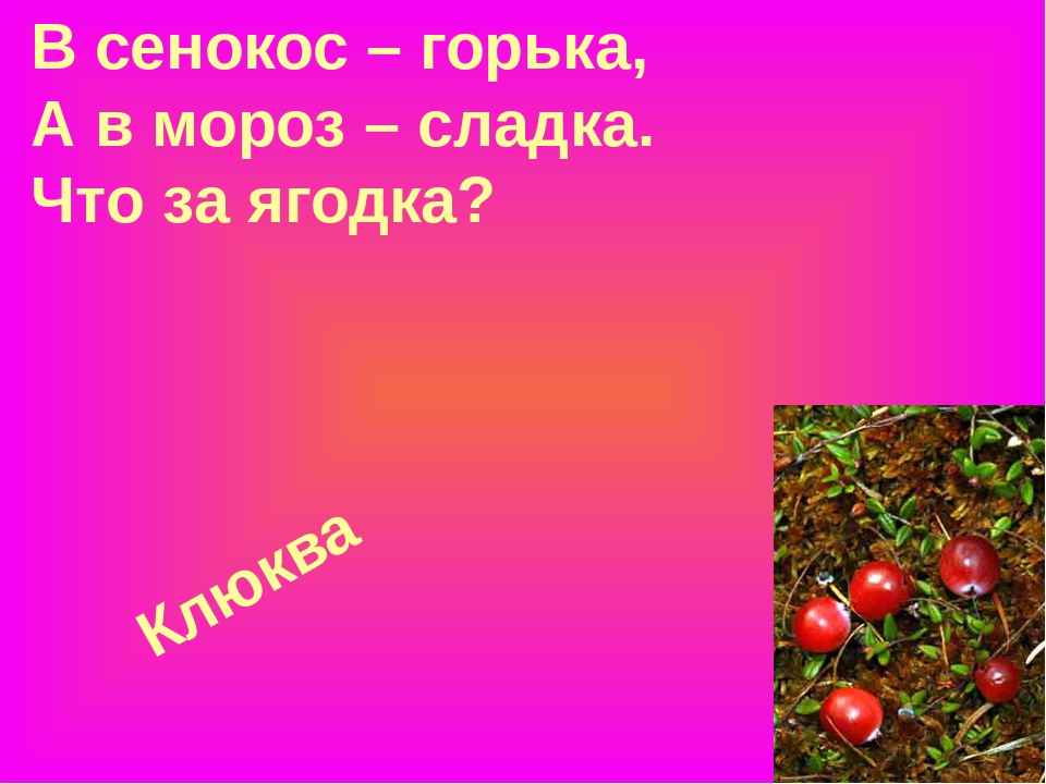 Презентация "Загадки про ягоды в стихах и картинках"