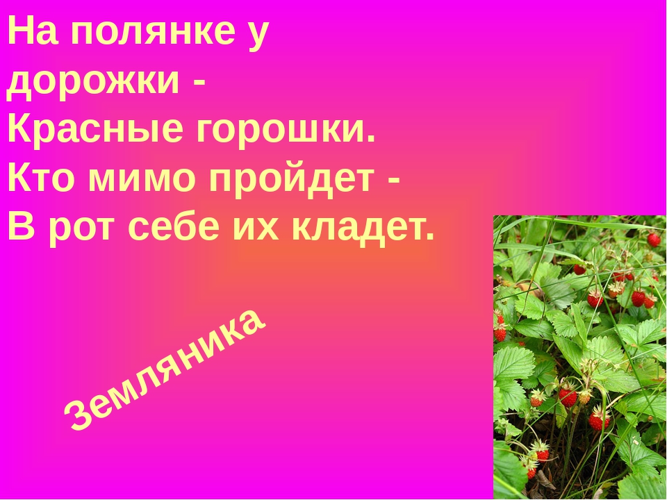 Проходить или пройти красной. На полянке у дорожки красные горошки. Я капелька лета на тоненькой ножке плетут для меня кузовки и лукошки. Загадка про землянику. Загадка про клубнику.