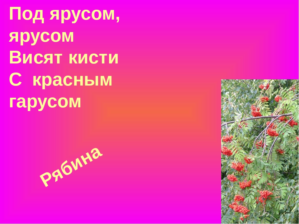 Презентация "Загадки про ягоды в стихах и картинках"