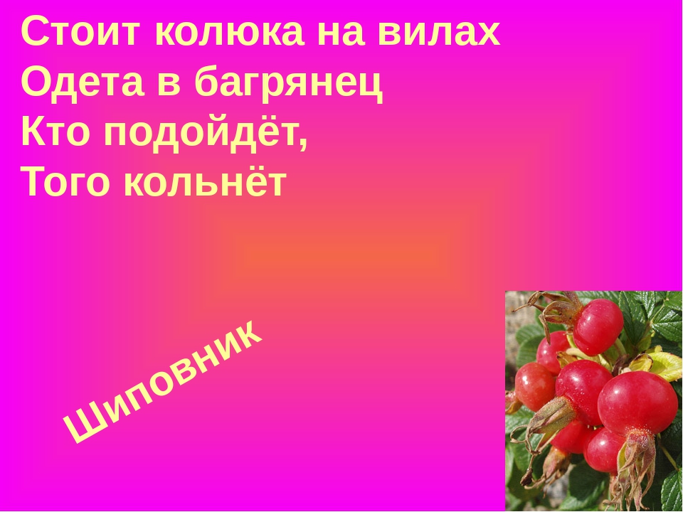 Презентация "Загадки про ягоды в стихах и картинках"