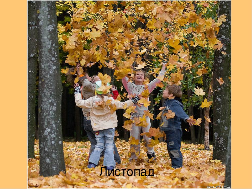 Презентация "Перелётные и зимующие птицы"