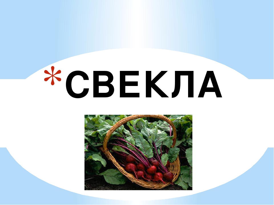 Презентация "Всё про свеклу"